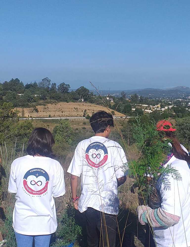 Fundación Género y Bienestar A.C
